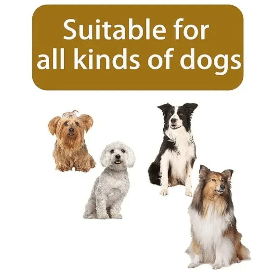 Waterproof and Warm Dog Jacket