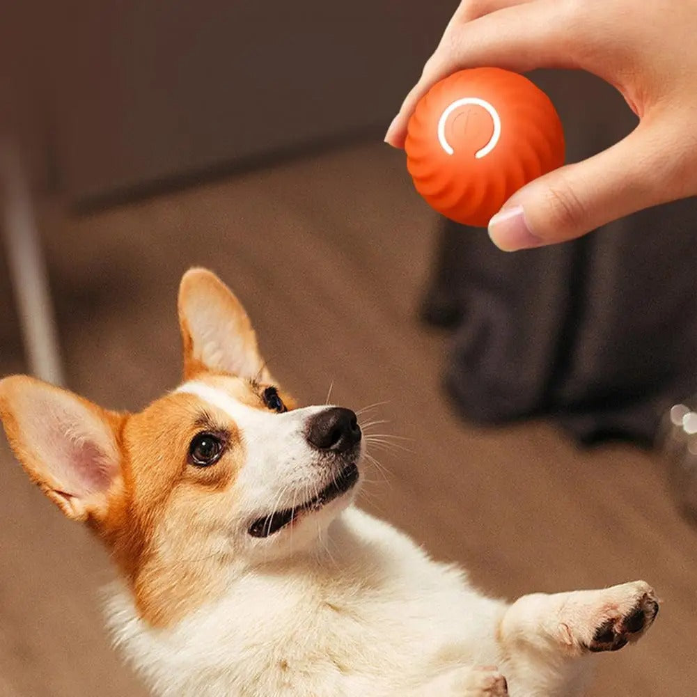 Rechargeable Interactive Dog Ball Toy