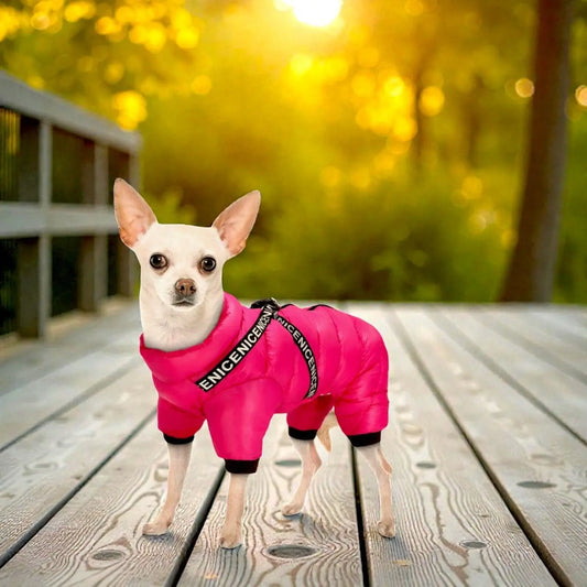 Waterproof Dog Winter Coat with Insulated Warmth – Dog Jacket for Cold Weather Adventures