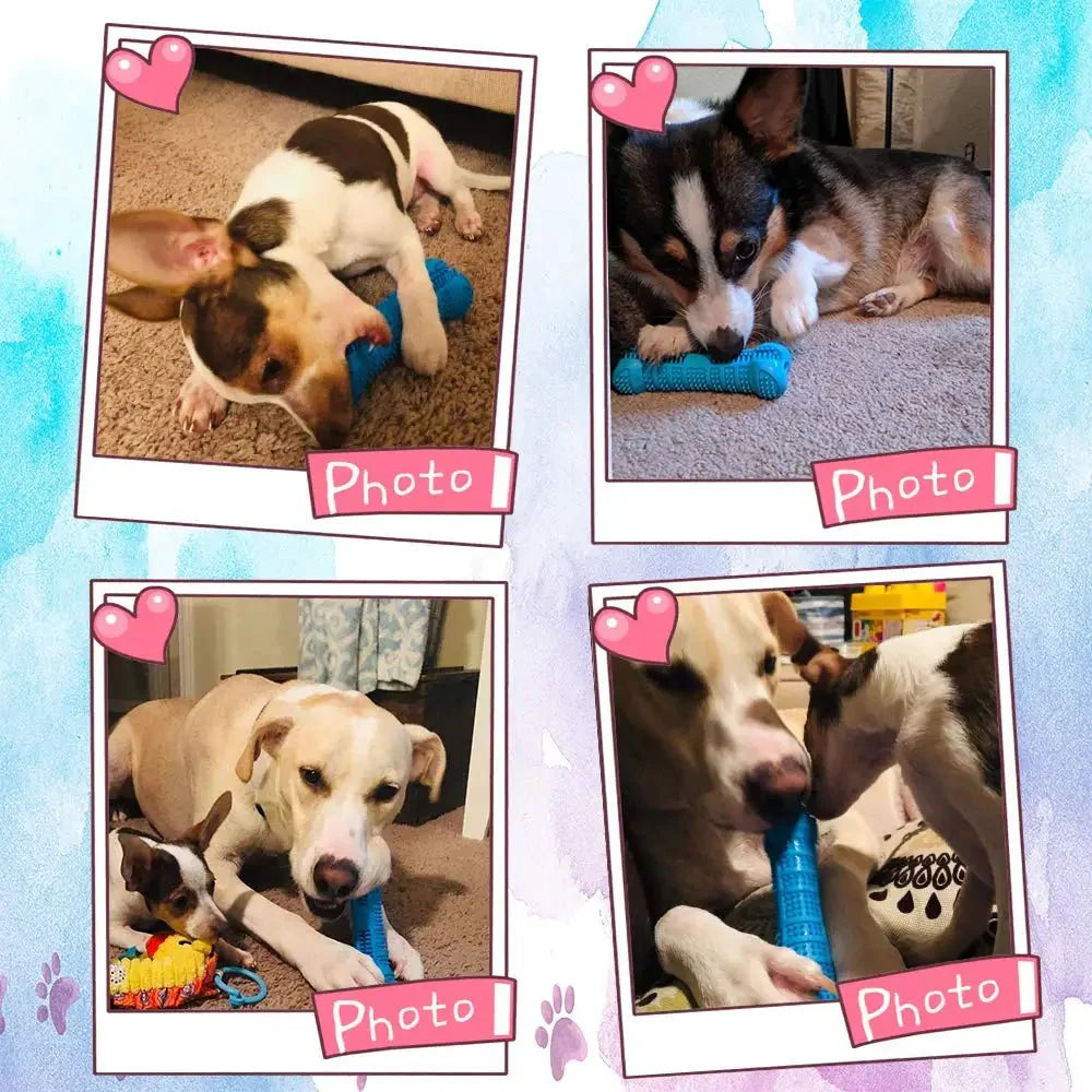 Dog Toothbrush Chew Toy