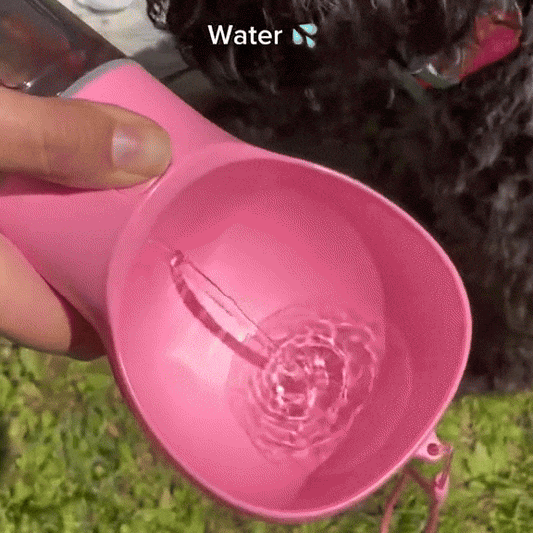 4 in 1 Portable Dog Water Bottle and Travel Feeder