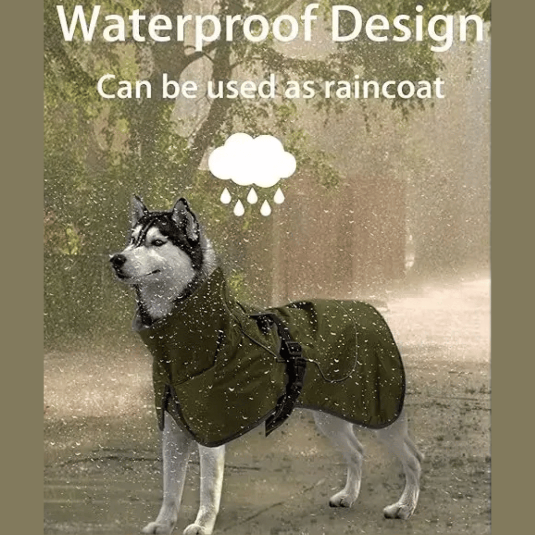Waterproof and Warm Dog Jacket