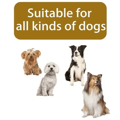 Waterproof and Warm Dog Jacket