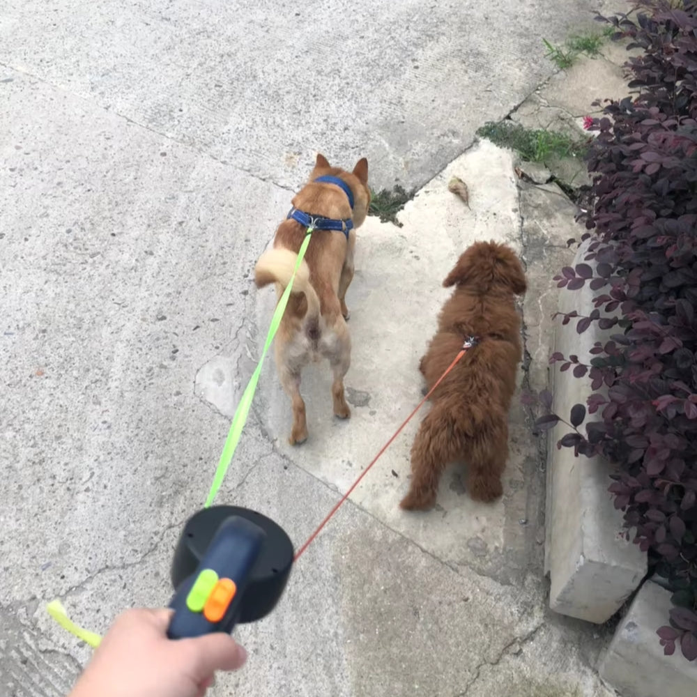 Retractable Dual Dog Leash with LED Lights