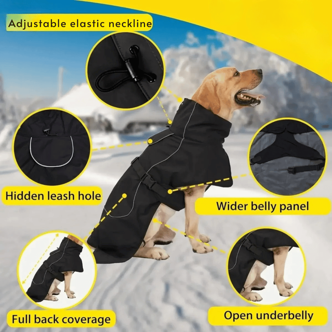 Waterproof and Warm Dog Jacket
