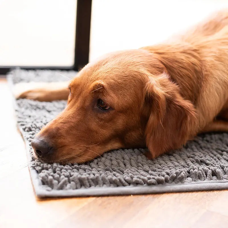 Ultimate Absorbent Dog Mat for Mud, Water, and Floor Protection 