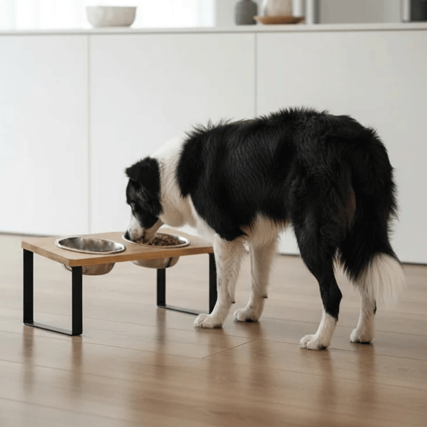 Elevated Double Pet Bowl Stand