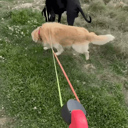 Retractable Dual Dog Leash with LED Lights