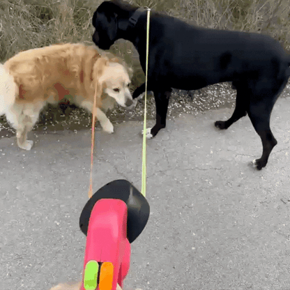 Retractable Dual Dog Leash with LED Lights