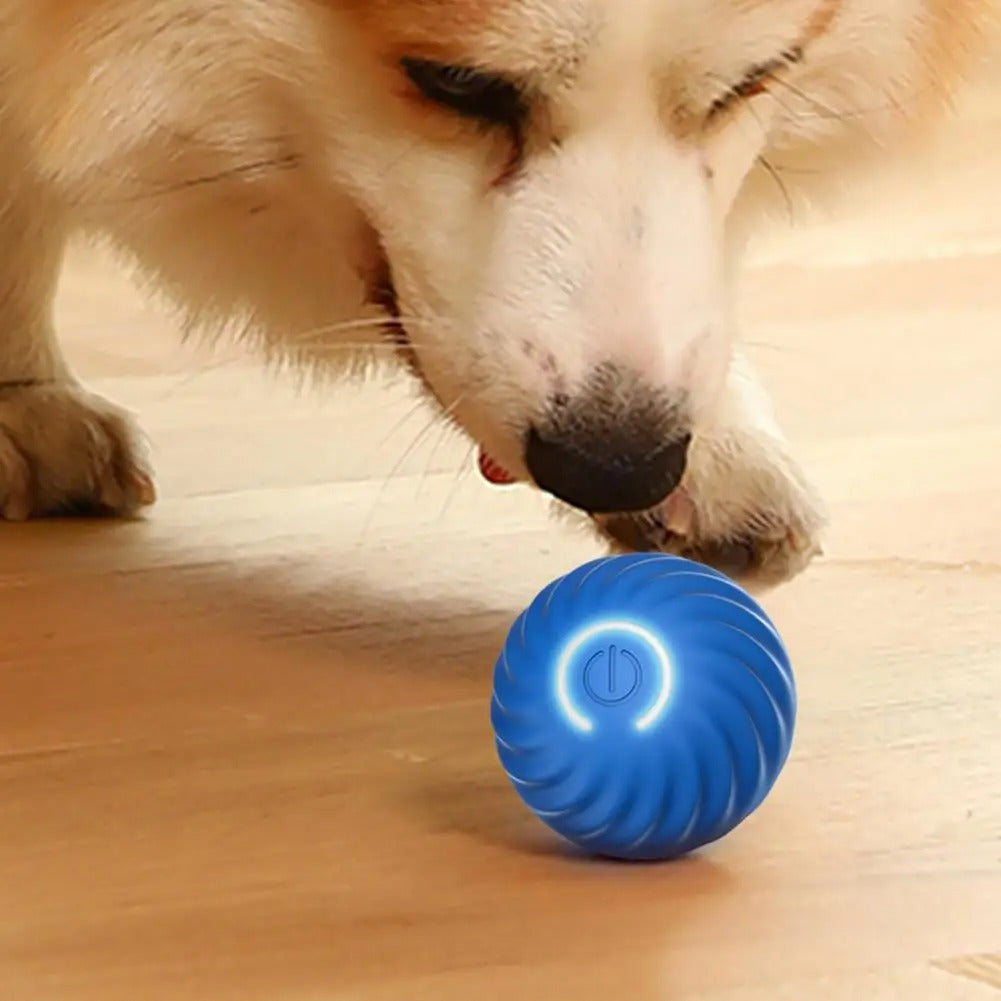 Rechargeable Interactive Dog Ball Toy