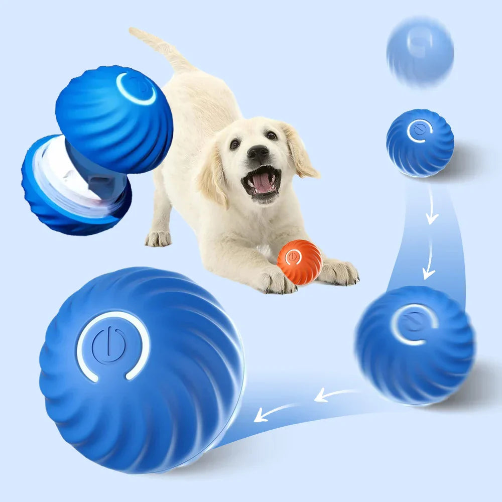 Rechargeable Interactive Dog Ball Toy