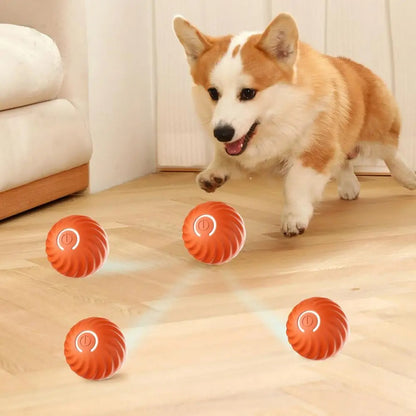Rechargeable Interactive Dog Ball Toy
