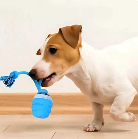 Interactive Chew Dog Toy for Dental Health – Engaging Movement, Durable Non-toxic Plastic, Ideal for All Sizes 4