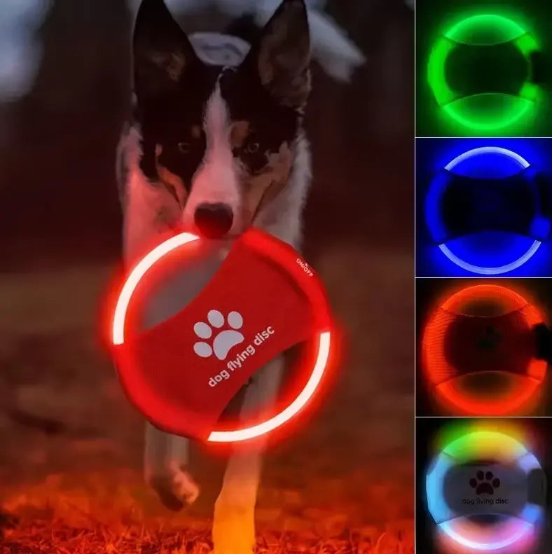 LED Dog Disc for Nighttime Play – Luminous Flying Disc for Safe Dog Exercise 1