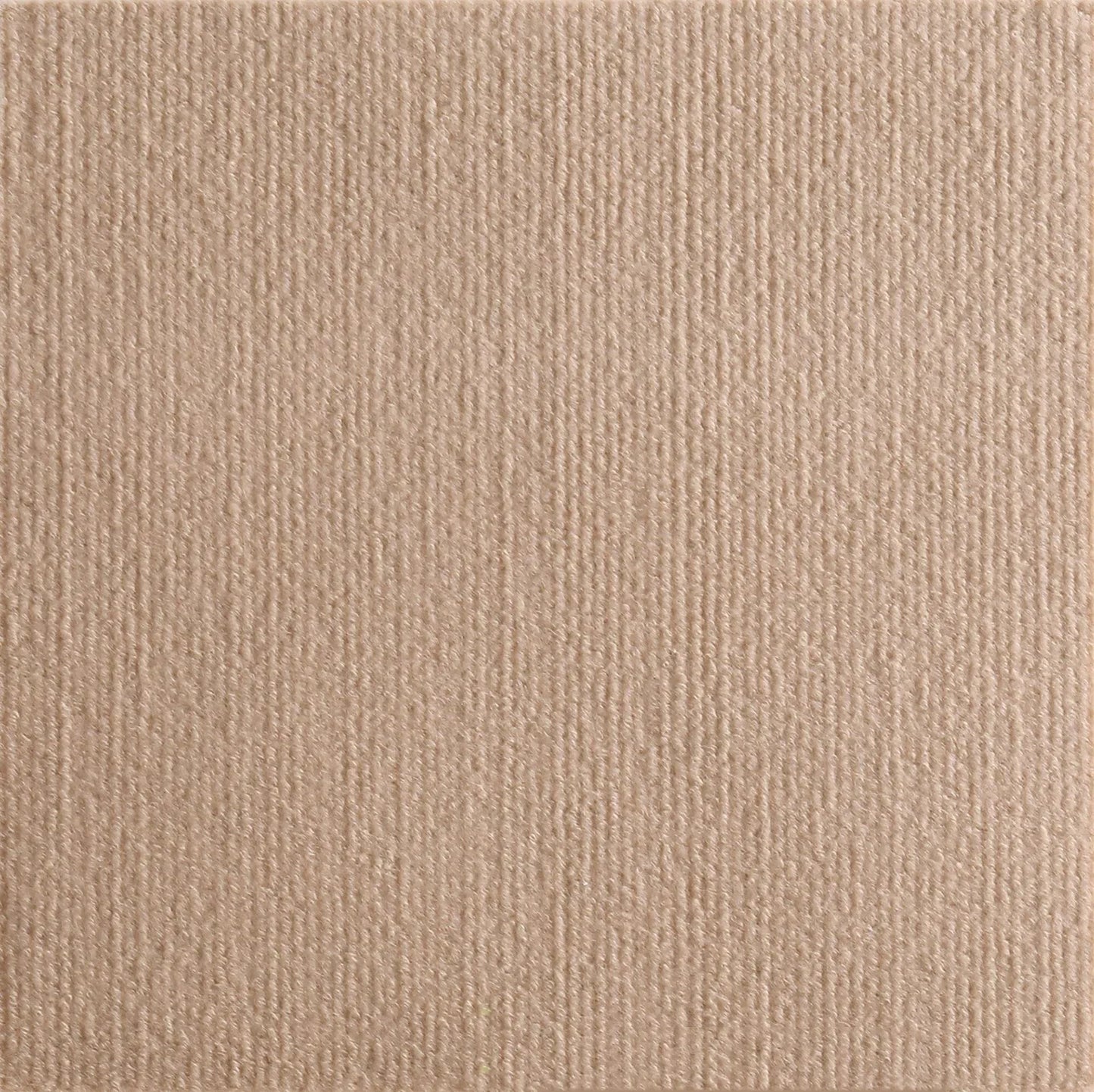 Furniture Protecting Cat Scratch Mat