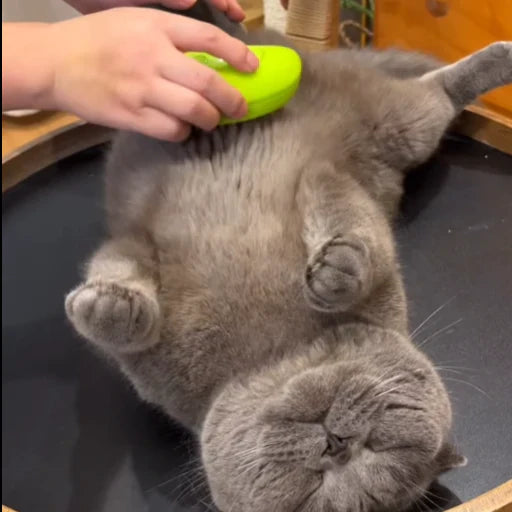 Pet Deshedding Brush for Dogs and Cats