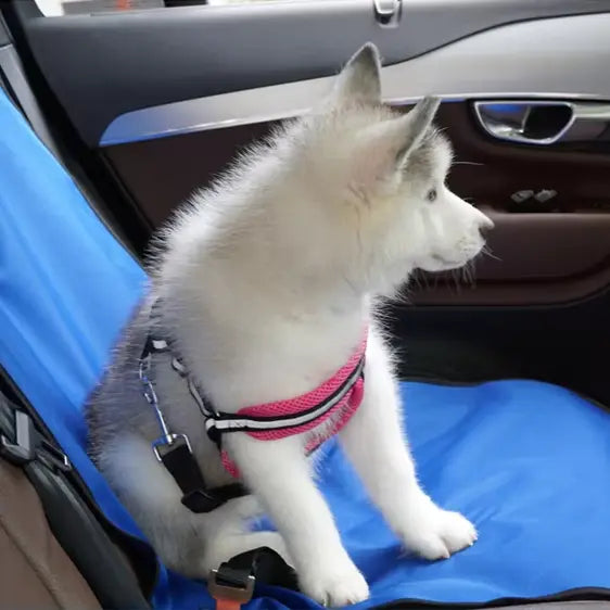 Waterproof Dog Car Seat Cover with Non-Slip Mat and Seat Belt Attachment 0