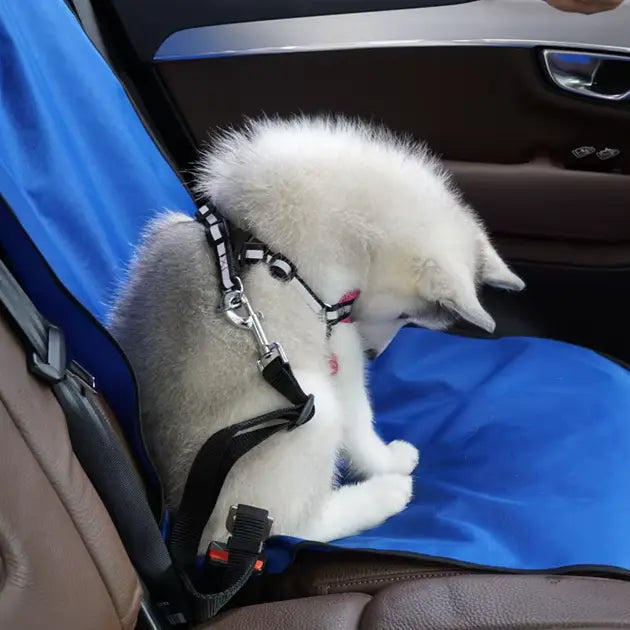 Waterproof Dog Car Seat Cover with Non-Slip Mat and Seat Belt Attachment 8