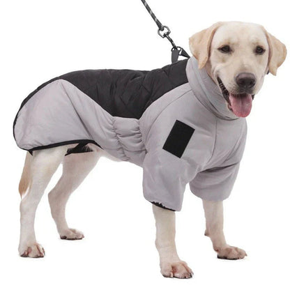 Waterproof Dog Coat with Thermal Insulation and Adjustable Fit – Stylish Dog Rain Jacket for All Weather Protection 4