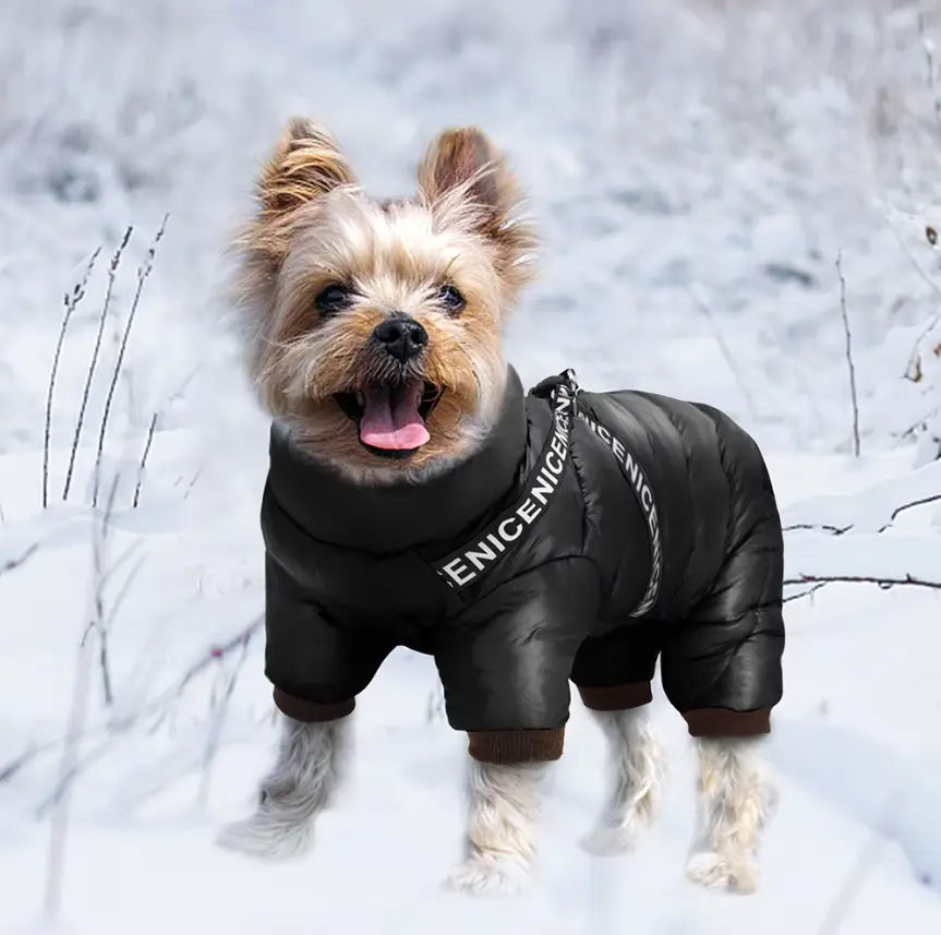 Waterproof Dog Winter Coat with Insulated Warmth – Dog Jacket for Cold Weather Adventures 1
