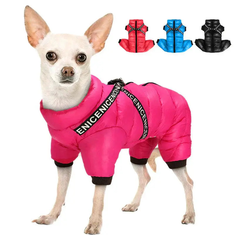 Waterproof Dog Winter Coat with Insulated Warmth – Dog Jacket for Cold Weather Adventures 3