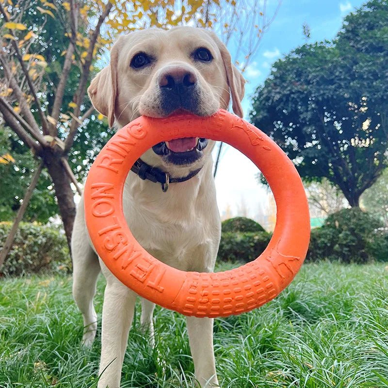 Durable EVA Dog Training Ring Toy