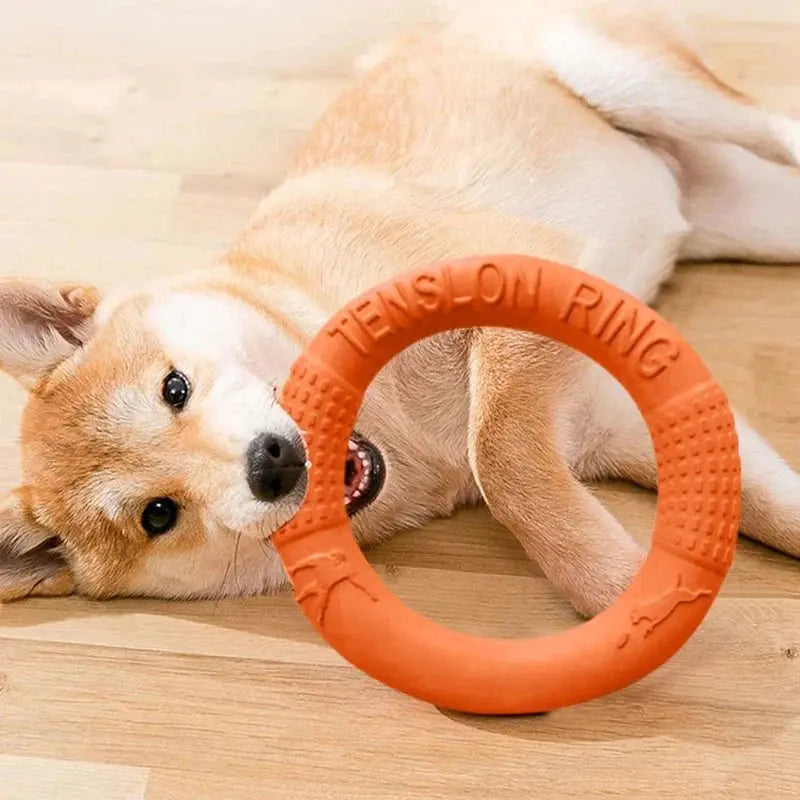 Durable EVA Dog Training Ring Toy 