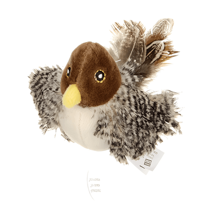 Interactive Cat Teaser Toy for Active Play