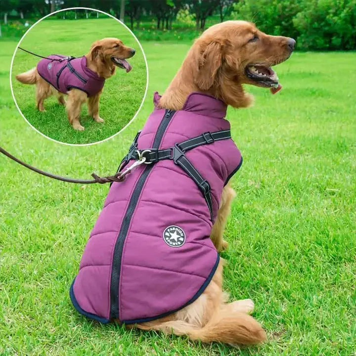 Waterproof Winter Dog Jacket With Built In Harness 