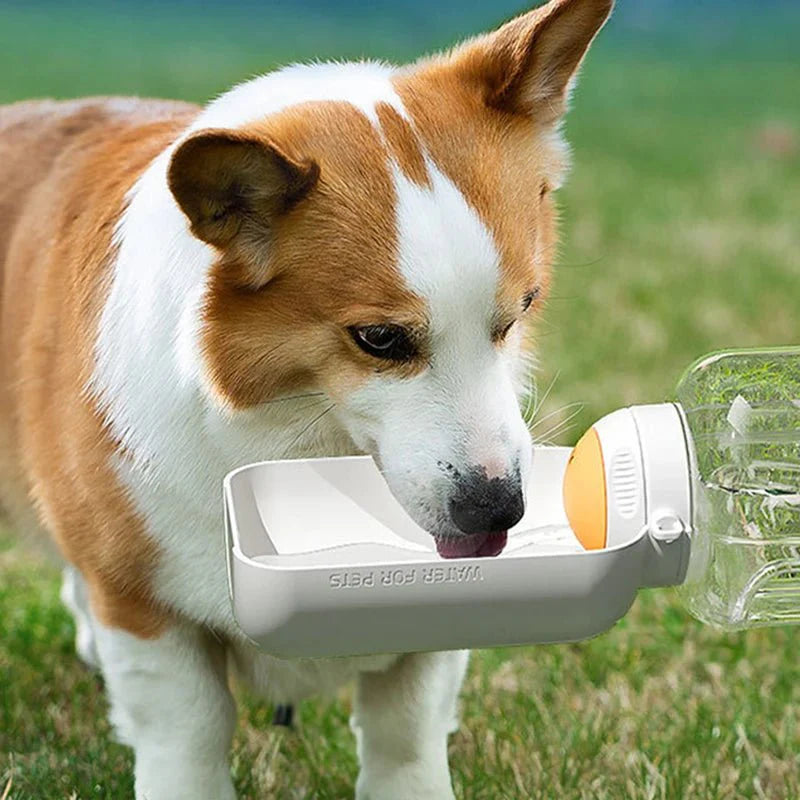 2 in 1 Dog Water and Food Bottle