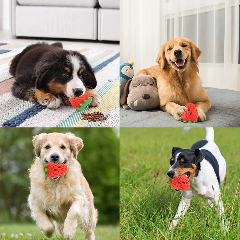 Interactive Strawberry Treat Toy for Dogs
