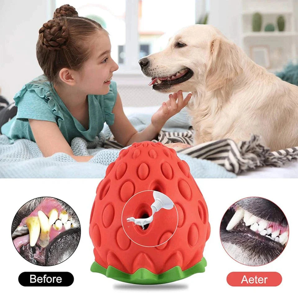 Interactive Strawberry Treat Toy for Dogs