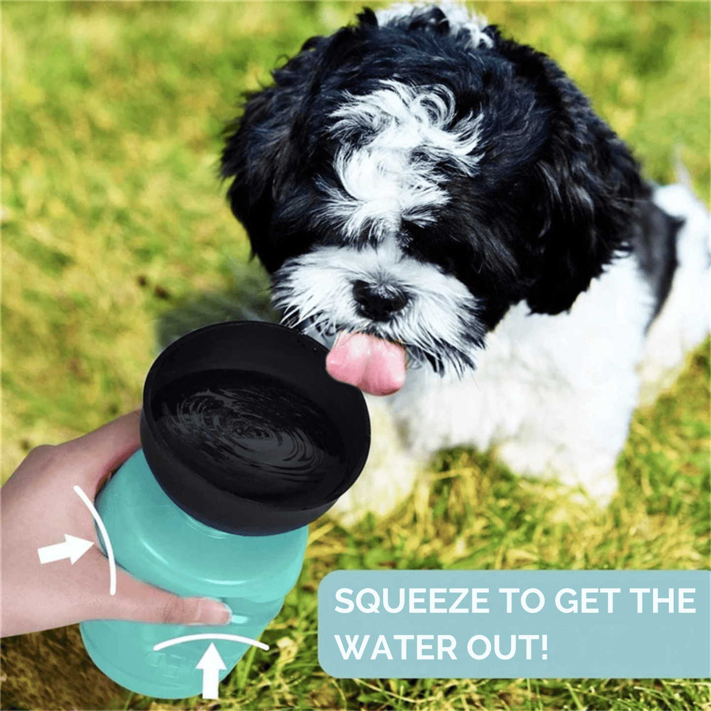 Foldable Leakproof Dog Water Bottle