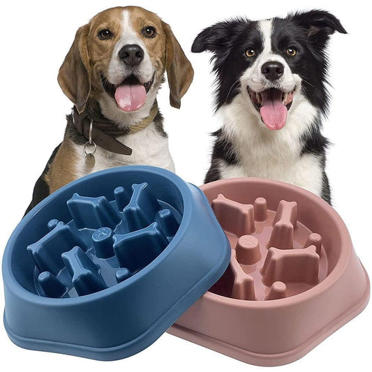 Slow Feeder Dog Bowl for Fast Eaters