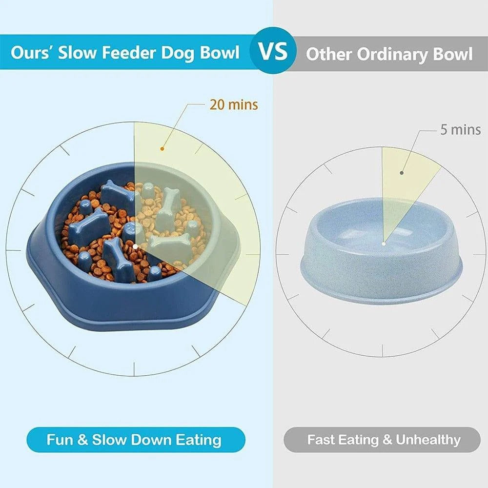 Slow Feeder Dog Bowl for Fast Eaters