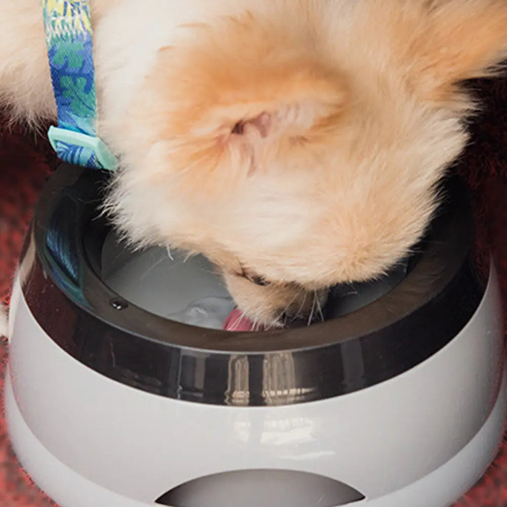 Anti-Spill Non-Slip Pet Water Bowl for Dogs and Cats, Mess-Free Design 