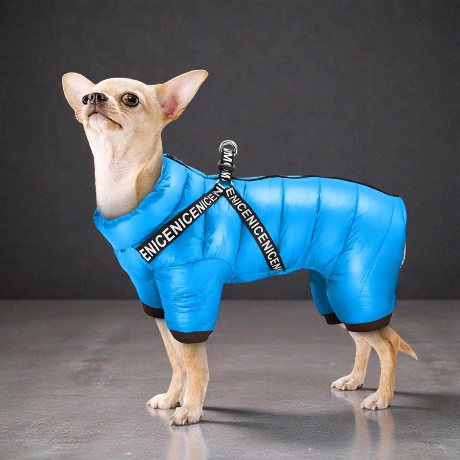 Waterproof Dog Winter Coat with Insulated Warmth – Dog Jacket for Cold Weather Adventures 