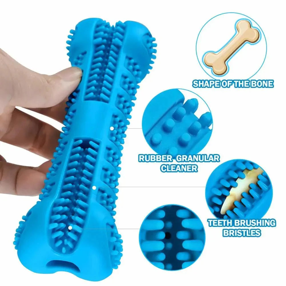 Dog Toothbrush Chew Toy