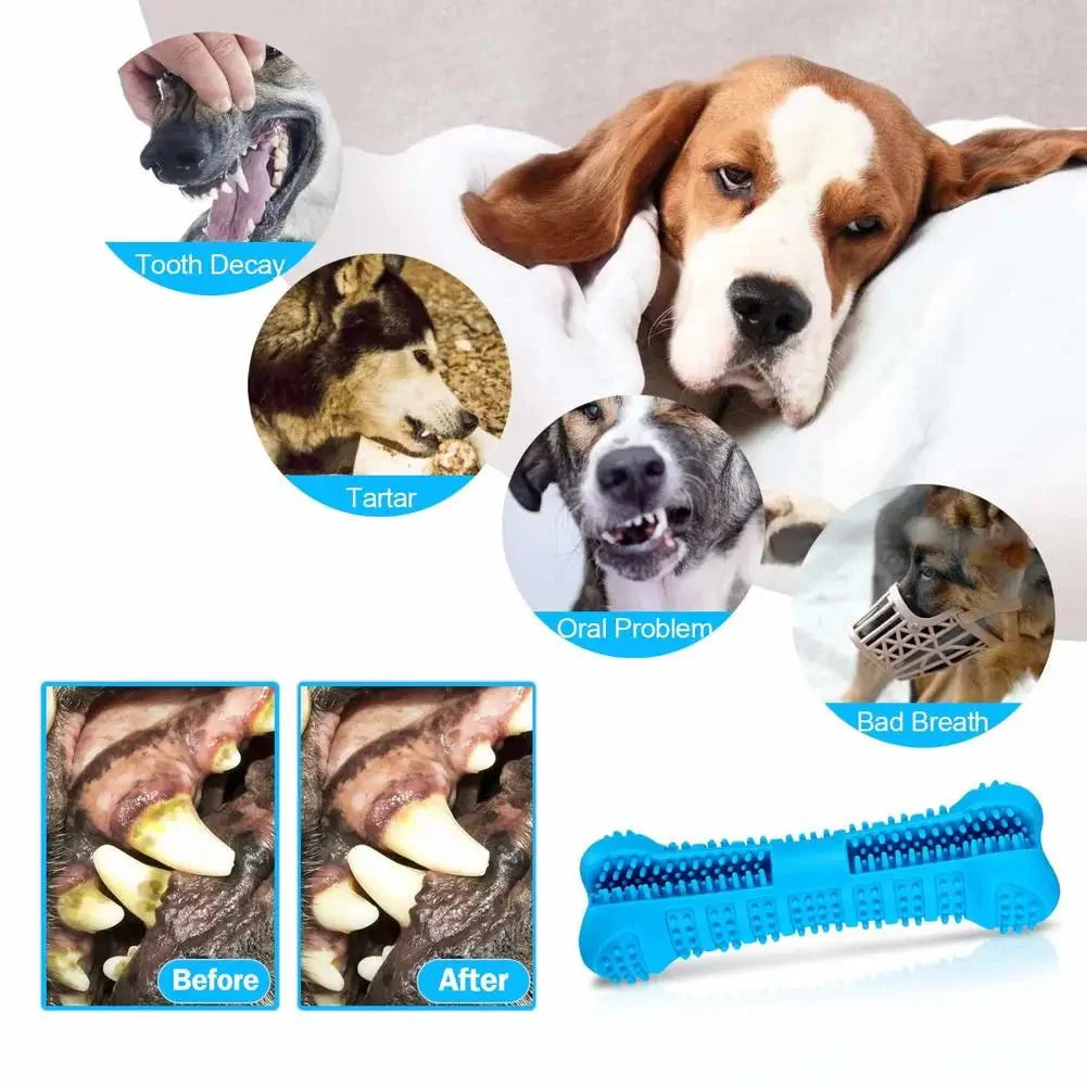 Dog Toothbrush Chew Toy