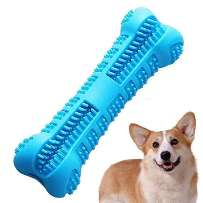 Dog Toothbrush Chew Toy