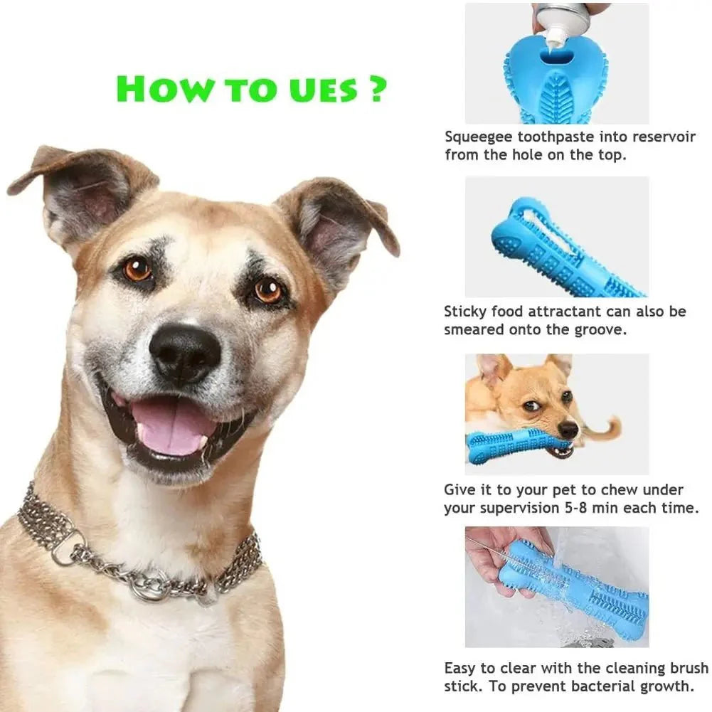 Dog Toothbrush Chew Toy