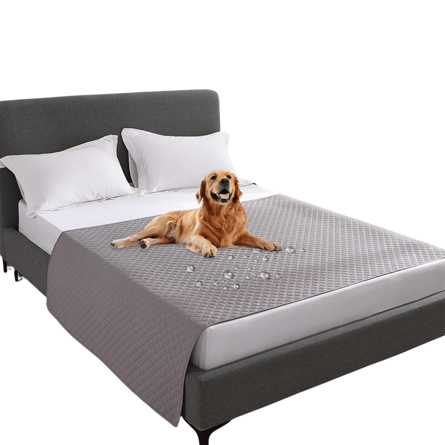 Waterproof Pet Furniture and Mattress Protector Blanket