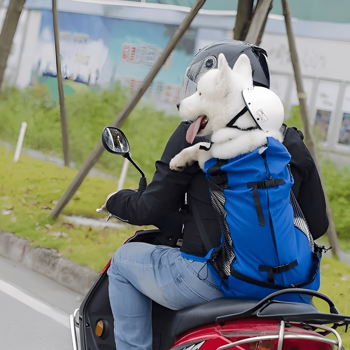 Ergonomic Dog Carrier Backpack