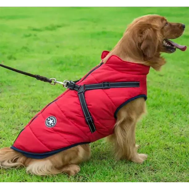 Waterproof Winter Dog Jacket With Built In Harness 