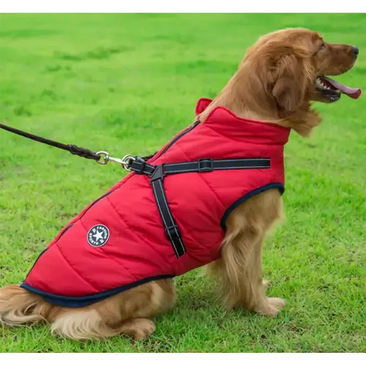 Waterproof Winter Dog Jacket With Built In Harness 