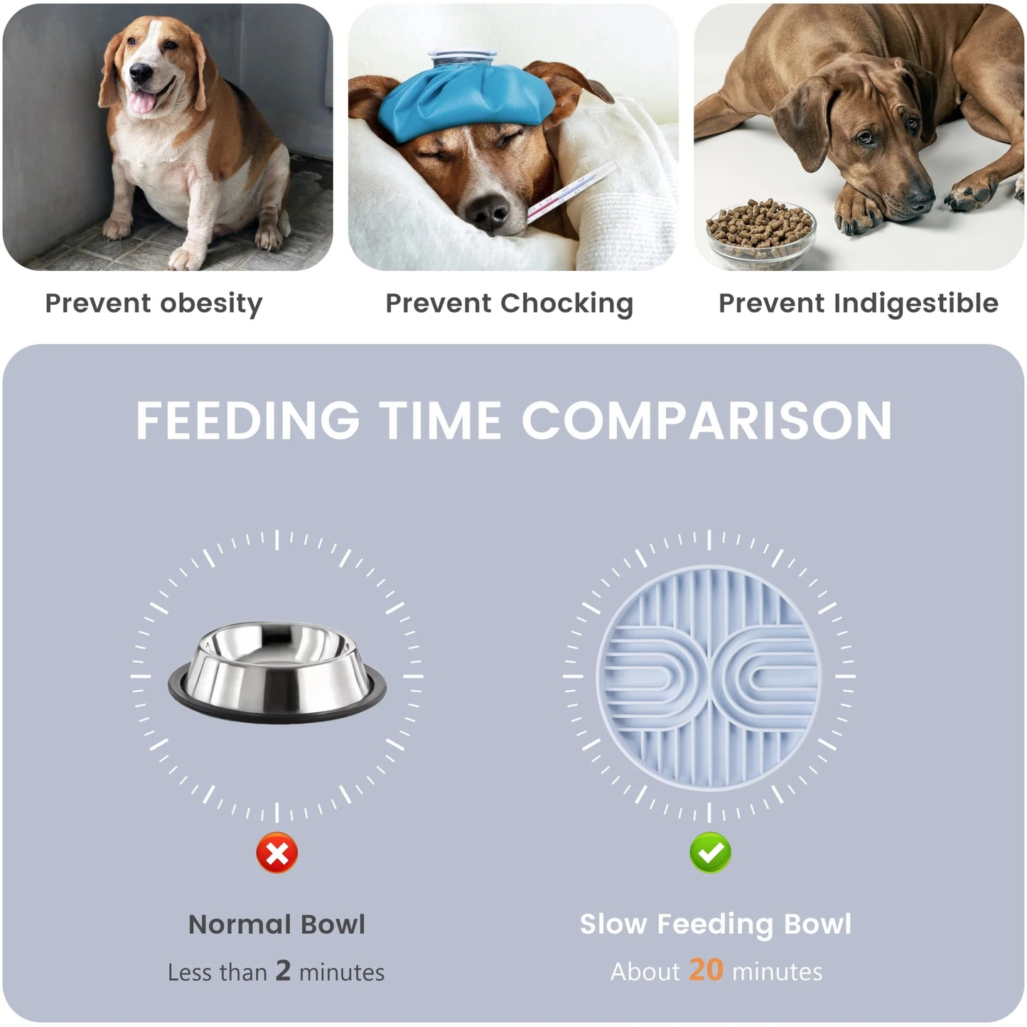 Premium Silicone Slow Feeder Bowl for Dogs