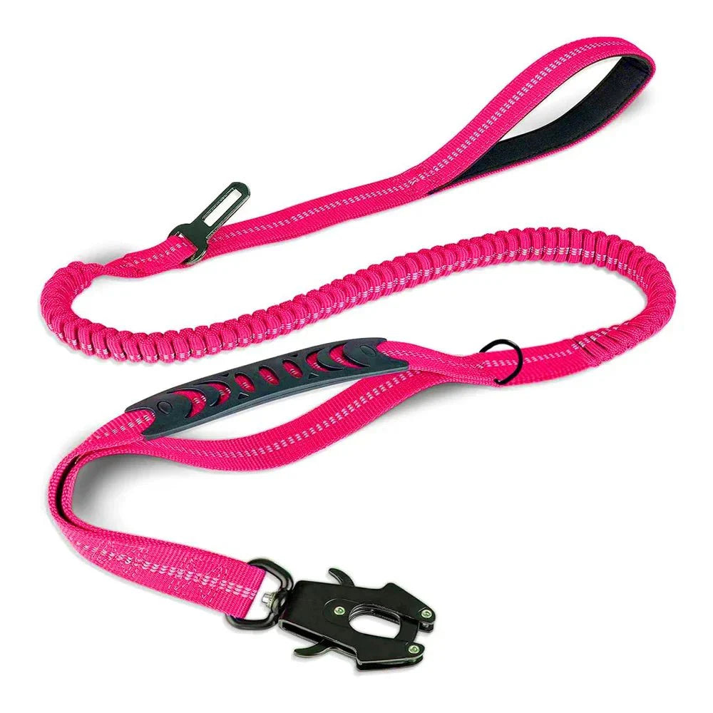 Reflective Bungee Dog Leash With Dual Handles