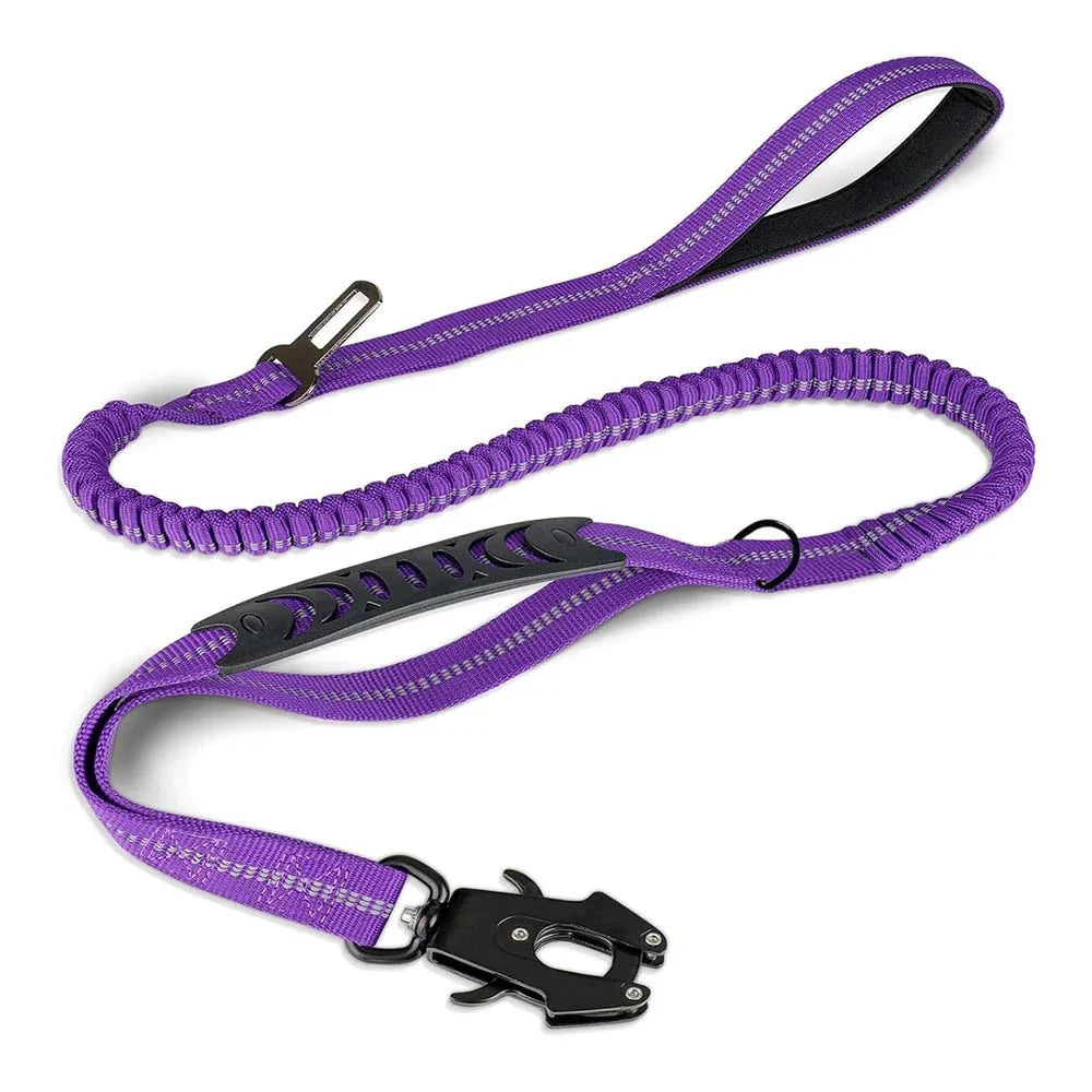 Reflective Bungee Dog Leash With Dual Handles
