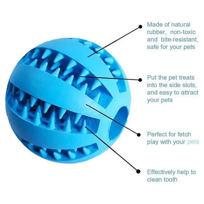 Durable Rubber Dental Chew Ball for Dogs