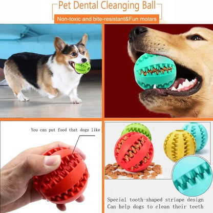 Durable Rubber Dental Chew Ball for Dogs